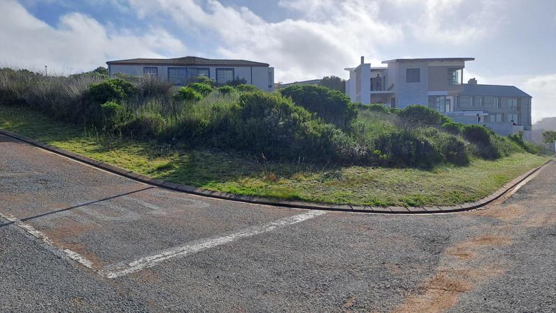 0 Bedroom Property for Sale in Jongensfontein Western Cape